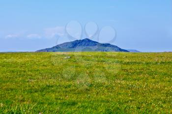 The top of mountains in the background of green flowering meadows and blue sky