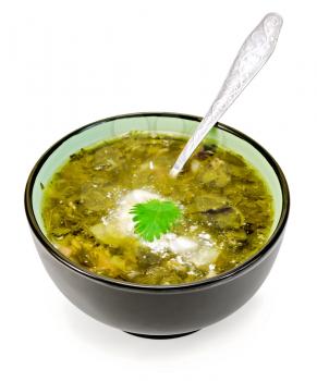 Green nettle soup in a bowl with a spoon isolated on white background