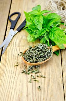 Fresh green basil and dry on the spoon, scissors, ball of twine on a wooden boards background