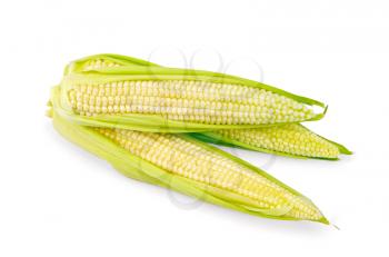 Three corn cobs with purified shell isolated on white background