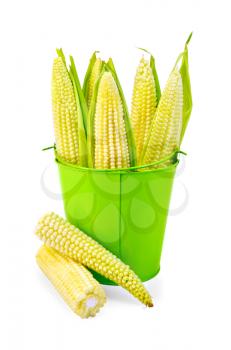 Corn on the cob in a green bucket and on the table isolated on white background