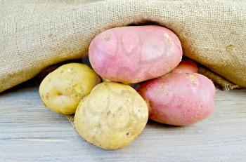 A pile of yellow and red tubers of potatoes on burlap background and wooden boards