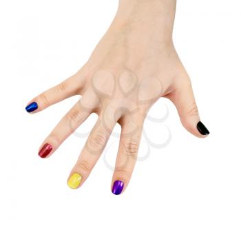 The nails on the fingers of a woman's hand painted in blue, red, yellow, purple and black lacquer