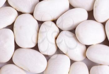 Royalty Free Photo of a White Bean Background
