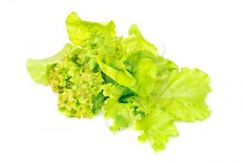 Mix fresh salad isolated on white background 