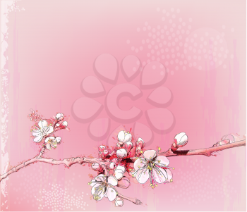 Royalty Free Clipart Image of a Cherry Blossom Branch