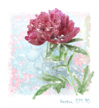 hand drawn  watercolor red peony flower