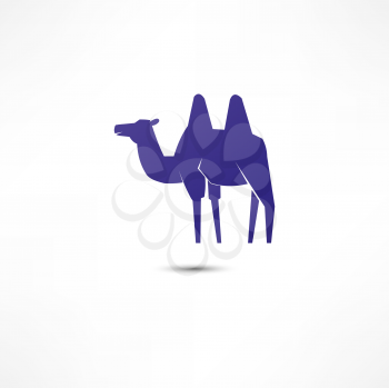 Camel Icon 