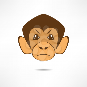 Angry monkey.