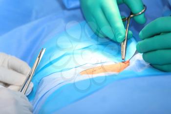 Macro shot of doctors making a suture in operation room.  Focus in the tools.