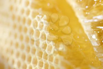 Macro shot of a Honeycomb with liquid honey