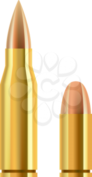 Pistol and rifle bullets isolated on gray background.