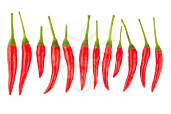 Royalty Free Photo of Hot Chili Peppers