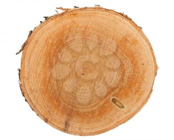 Royalty Free Photo of a Cross Section of a Piece of Lumber