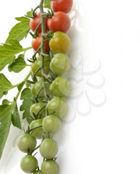 Royalty Free Photo of a Cluster Of Cherry Tomatoes