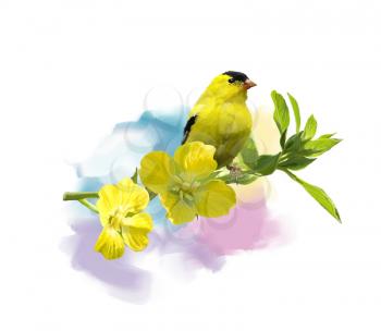 Digital Painting of  American Goldfinch with the yellow flowers