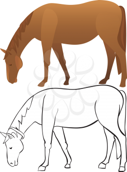 Horse outline and color