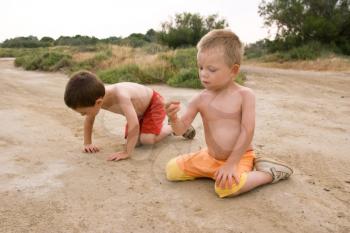 Young children looking at ants