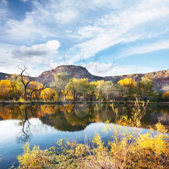 Royalty Free Photo of Autumn in Sierra Nevada