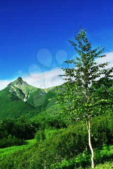Royalty Free Photo of a Landscape in the Kamchatian Mountains