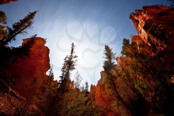 Royalty Free Photo of Bryce Canyon