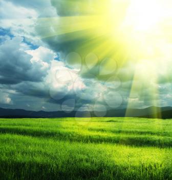 Royalty Free Photo of a Field and Sunlight