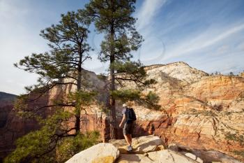 Royalty Free Photo of a Hike in Zion National Park, Utah