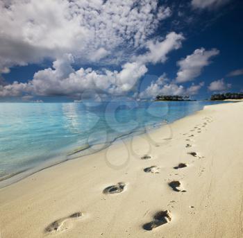 Royalty Free Photo of Footprints in the Sand on a Beach in the Maldives