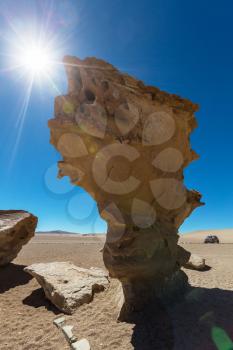 Arbol de piedra - Stone rock formation in Bolivia