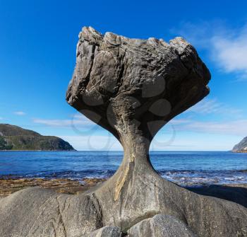 Stone tail in Norway
