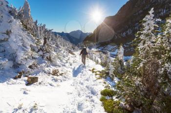 Hikers in the winter mountains