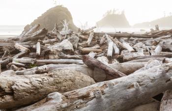 Scenic and rigorous Pacific coast in the Olympic National Park, Washington, USA. Rocks in the ocean and large logs on the beach.