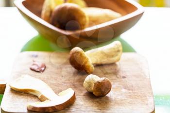 Edible mushrooms  in the kitchen in fall season.