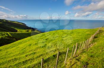 Beautiful rural  landscape of the New Zealand - green hills and trees