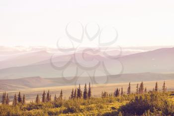 Tundra landscapes above Arctic circle in Canada. Beautiful inspiring natural background.