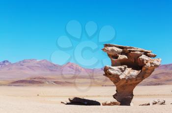Famous stone tree or Arbol de Piedra near the Uyuni salt flat, Bolivia