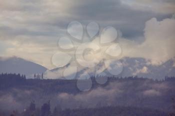 Beautiful morning scene in the mountains. Fog at sunrise.