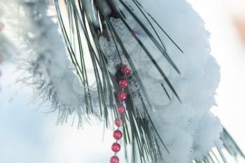 christmas tree blurred for background