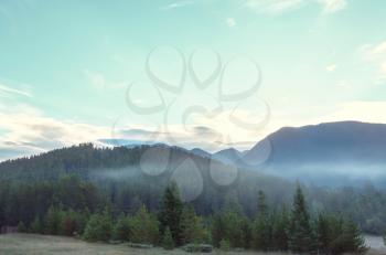 Picturesque mountain landscape on rainy day in Summer time. Good for natural background.