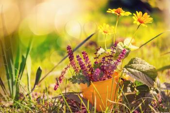 Close-up shot of the beautiful flowers. Suitable for floral background.