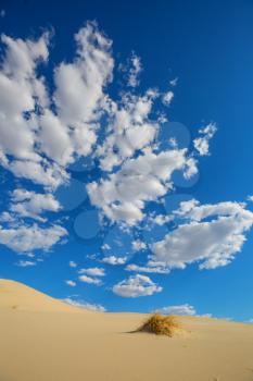 Scenic sand dunes in desert. Natural background.