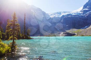 Beautiful Joffre lake in Canada