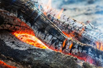 Campfire, close up shot