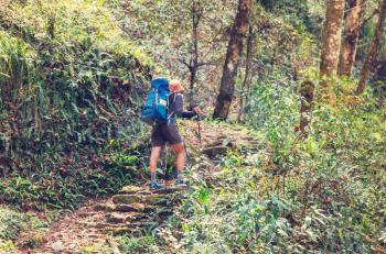 Hiker in Himalayan jungles, Nepal, Kanchenjunga region