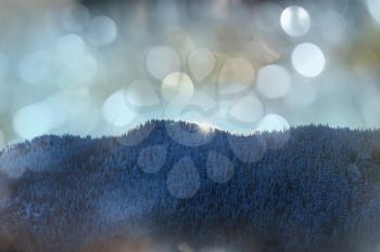 Scenic snow-covered forest in winter season. Good for Christmas background.