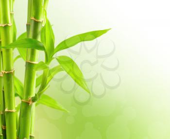 Bamboo background with copy space