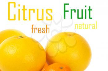 Citrus fruit on a white background