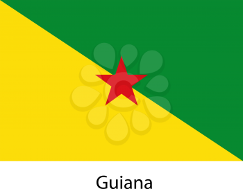 Flag  of the country  guiana. Vector illustration.  Exact colors. 
