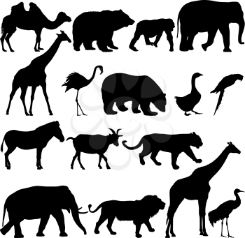 Silhouette elephant bear eagle trot duck zebra on a white background.