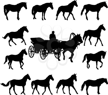 Illustration of horse silhouettes isolated on white background.